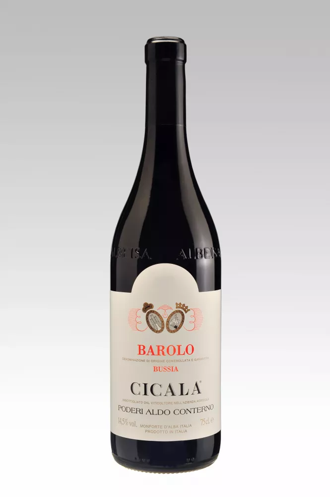 Barolo Bussia Cicala DOCG 2021