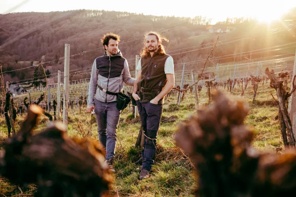 Fischer Weingut